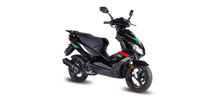 BTC F22 (12 inch) black