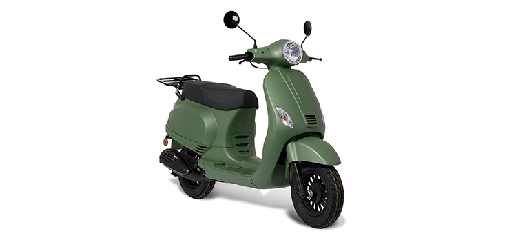 Spare parts Edwards Maple V50-2 matt green