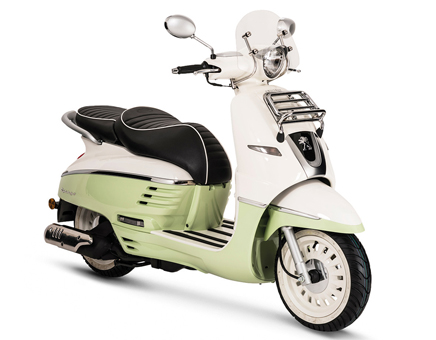 Spare parts Peugeot Django Evasion Pistachio