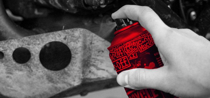 Cleaning products / maintenance