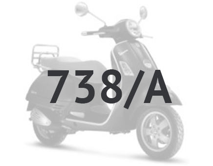 Vespa GTS 250 ie 2005-2009 (with ABS) grey excalibur 738/A