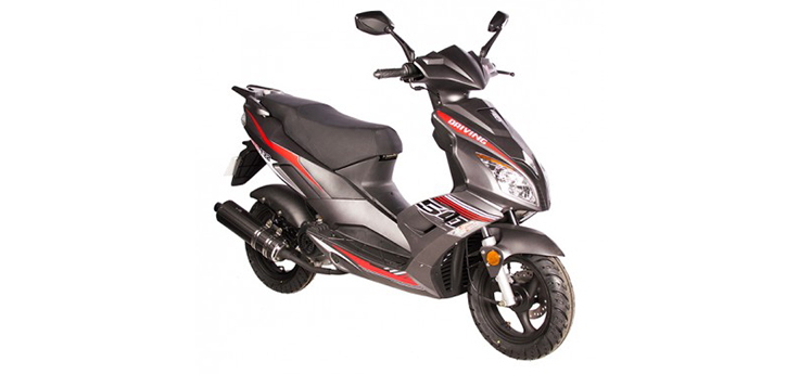 BTC F22 (12 inch) matt grey / Bordeaux red