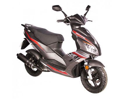 BTC F22 (12 inch) matt grey / Bordeaux red