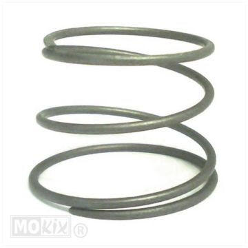 COMPRESSION SPRING-0/005.460.1407