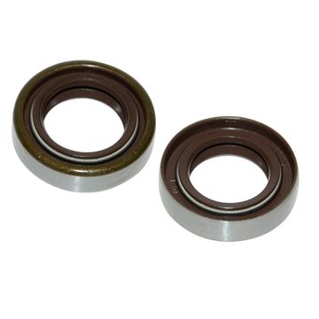 seal double spring viton 17x28x7