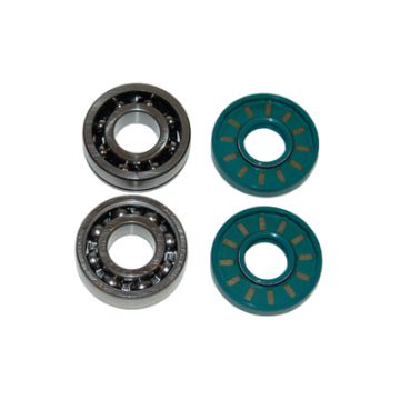 bearing+seal set maxi nt bac