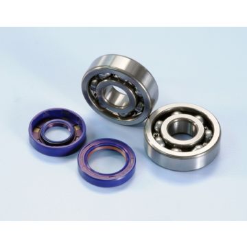bearing+seal set minarelli am6 polini 282,0003