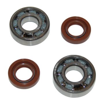 bearing+seal set gp/gpr/sen/zulu cif