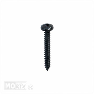 Parker set 4.2x32 black 10 pieces