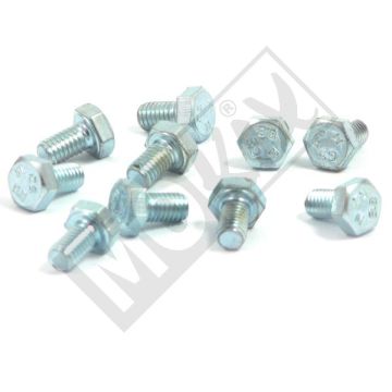 BOLT M 6x 10 ELVZ 8.8 10pcs