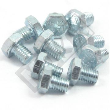 BOLT M 8x 10 ELVZ 8.8 10pcs
