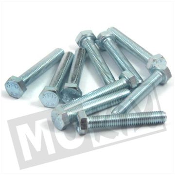 Bolt M8x50 ELVZ 8.8 10 pieces