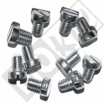 METAL SCREW M6x 8 ELVZ 10pcs