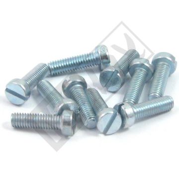METAL SCREW M6x20 ELVZ 10pcs