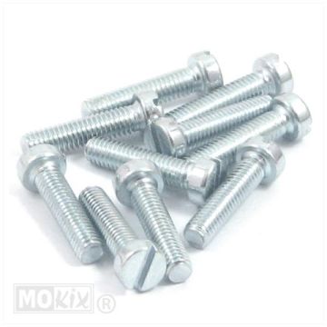 METAL SCREW M6x25 ELVZ 10pcs
