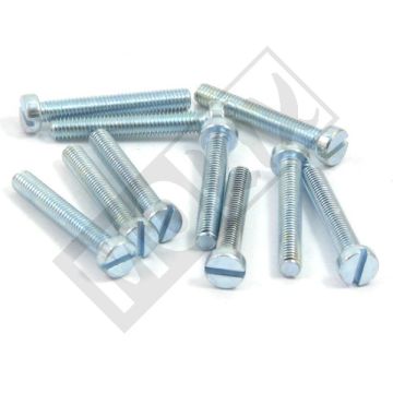 METAL SCREW M6x40 ELVZ 10pcs
