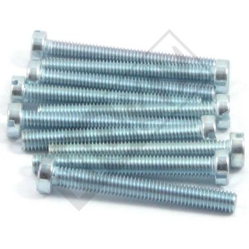 METAL SCREW M6x50 ELVZ 10pcs