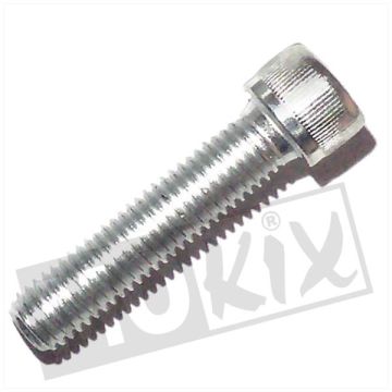 Allen bolt M10x45 ELVZ 10 pieces