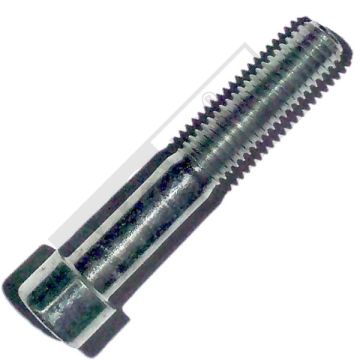 Allen bolt M10x60 ELVZ 10 pieces