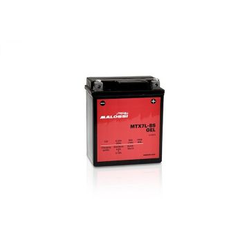 Battery MTX7L-BS SLA gel Malossi 4418919