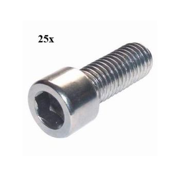Allen bolt m6x12mm 25 pieces