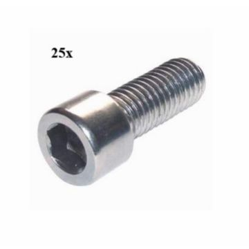 Socket bolt m6x20mm 25pcs