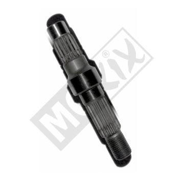 OUTGOING ASH KY FILLY ORG