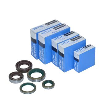 bearing+seal set complete motor (viton seals) 4V 10-piece
