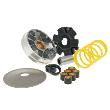 Variator kit Piaggio/Vespa Bravo/Ciao/Si Malossi 513863