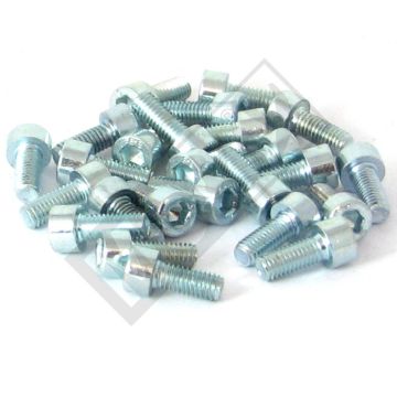 Allen bolt M5x10 ELVZ 25 pieces