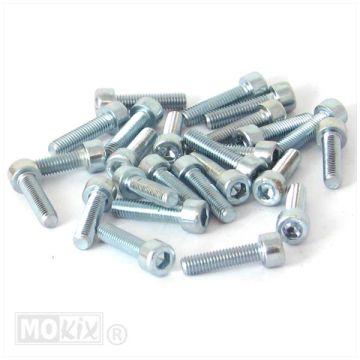 Allen bolt M5x20 ELVZ 25 pieces