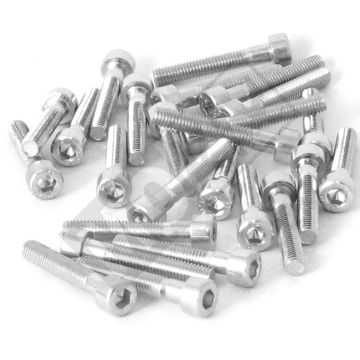 Allen bolt M5x30 ELVZ 25 pieces