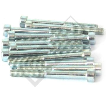 Allen bolt M5x50 ELVZ 12 pieces