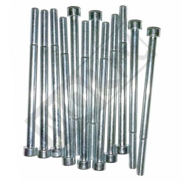 Allen bolt M6x100 elvz 12 pieces