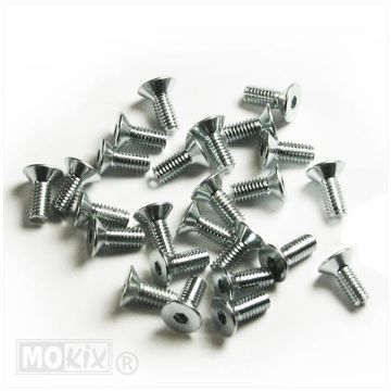 BRAKE PUMP COVER SCREW M4x10 (25)-214756b