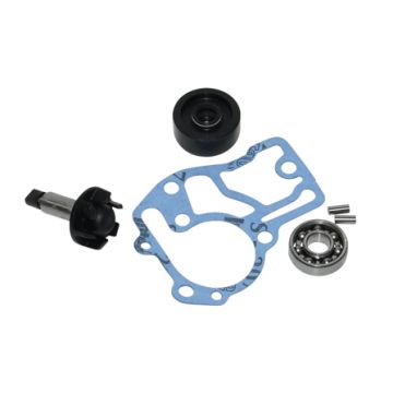 overhaul set water pump neo 4t buzzetti 0416