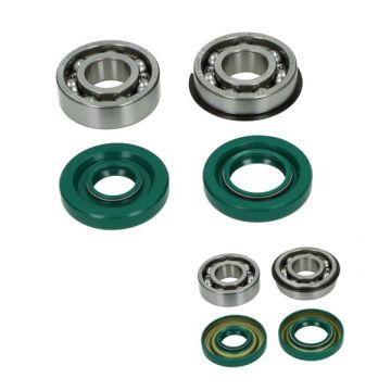 bearing+seal set maxi/puch DMP