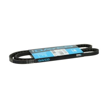 belt citta 1075mm dayco/pirelli