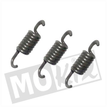 BYE BIKE Clutch segment springs