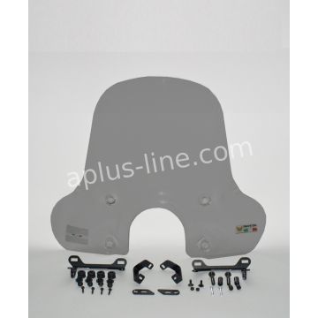 Windshield medium smoke BTC CEO / Neco Borgia / DJJD Avantgarde/E Avantgarde / Bimie Grazie Isotta