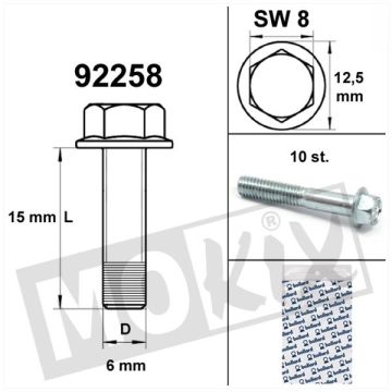 Flange crankcase bolts SW8 M6x15 blank 10 pieces
