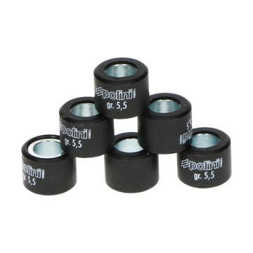 Variator roller set 16x13 Polini