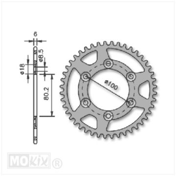 AKA RIEJU RR/SPIKE 48t