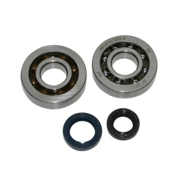 bearing+seal set race spe/spf/viva artek 13787