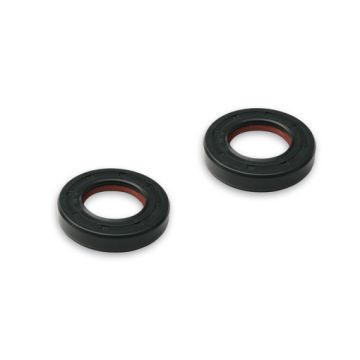 crankshaft seal kit gpr/sen/zulu malossi 6615300e