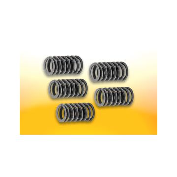 headspring set gpr/gsm/sen malossi 2912018 5pcs