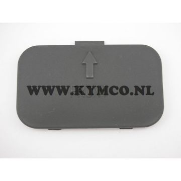 Helmet/buddy box member Kymco Vp50