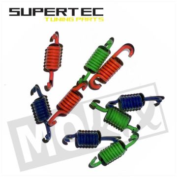 HEAD.SEGM SPRING SET MIN/PIA 107 (9)