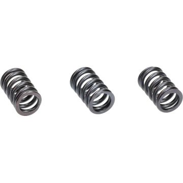Valve spring kit Piaggio Zip/Vespa Primavera/Sprint IGET 4T 3V Polini 228.0133 3 pieces
