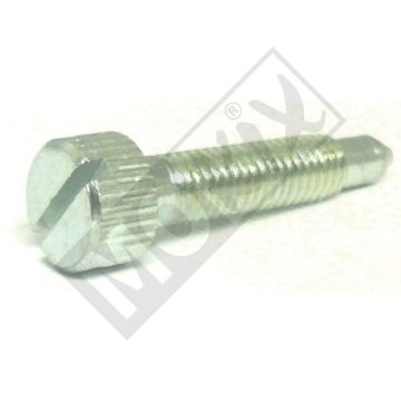 IDLING SCREW DELLORTO SCOOT-7673.61
